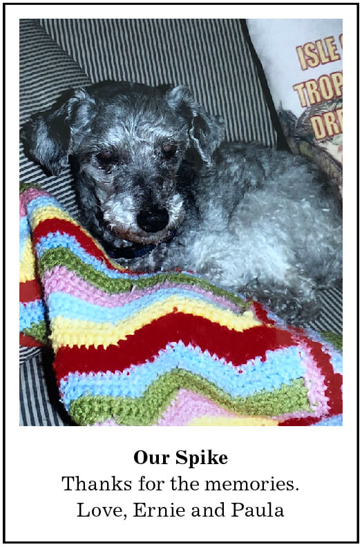 Our Spike. Thanks for the memories. Love, Ernie and Paula