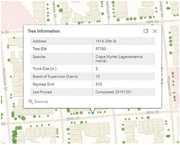 Image shows information for one of the trees in front of San Francisco Public Library's Potrero Hill branch. Source: https://bsm.sfdpw.org/urbanforestry/